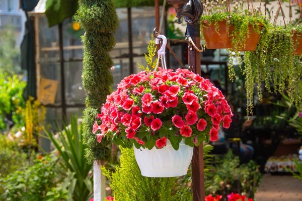 Hanging Planter Installation in Hixson